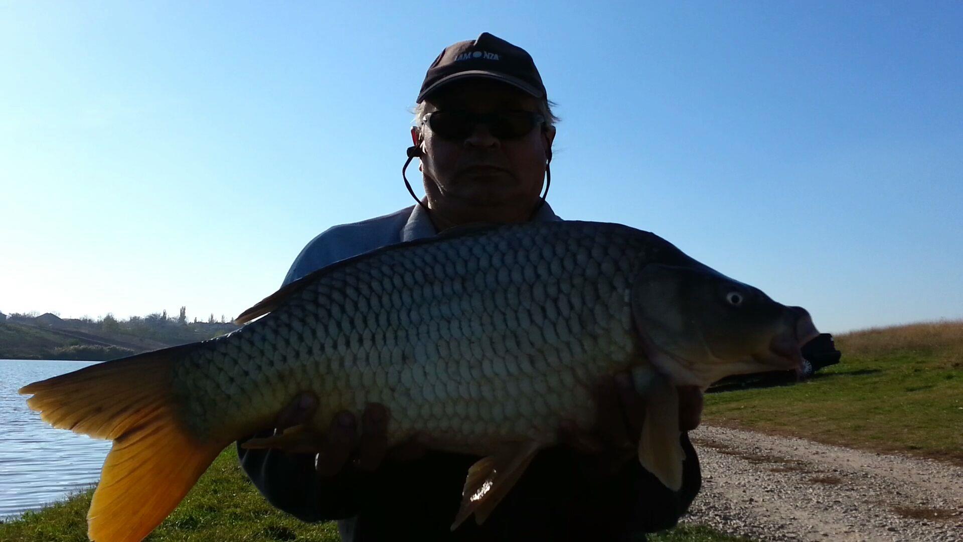 Diverse - 2013-10-29-144021.jpg